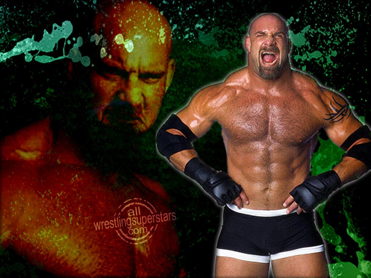 Your Favourite Wwe Wrestler , HD Wallpaper & Backgrounds