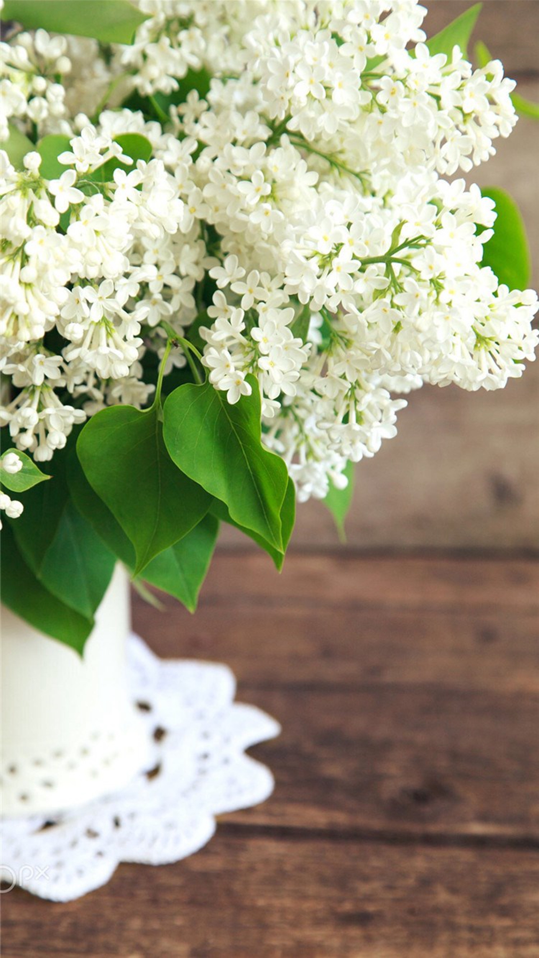 White Flower In Vase , HD Wallpaper & Backgrounds