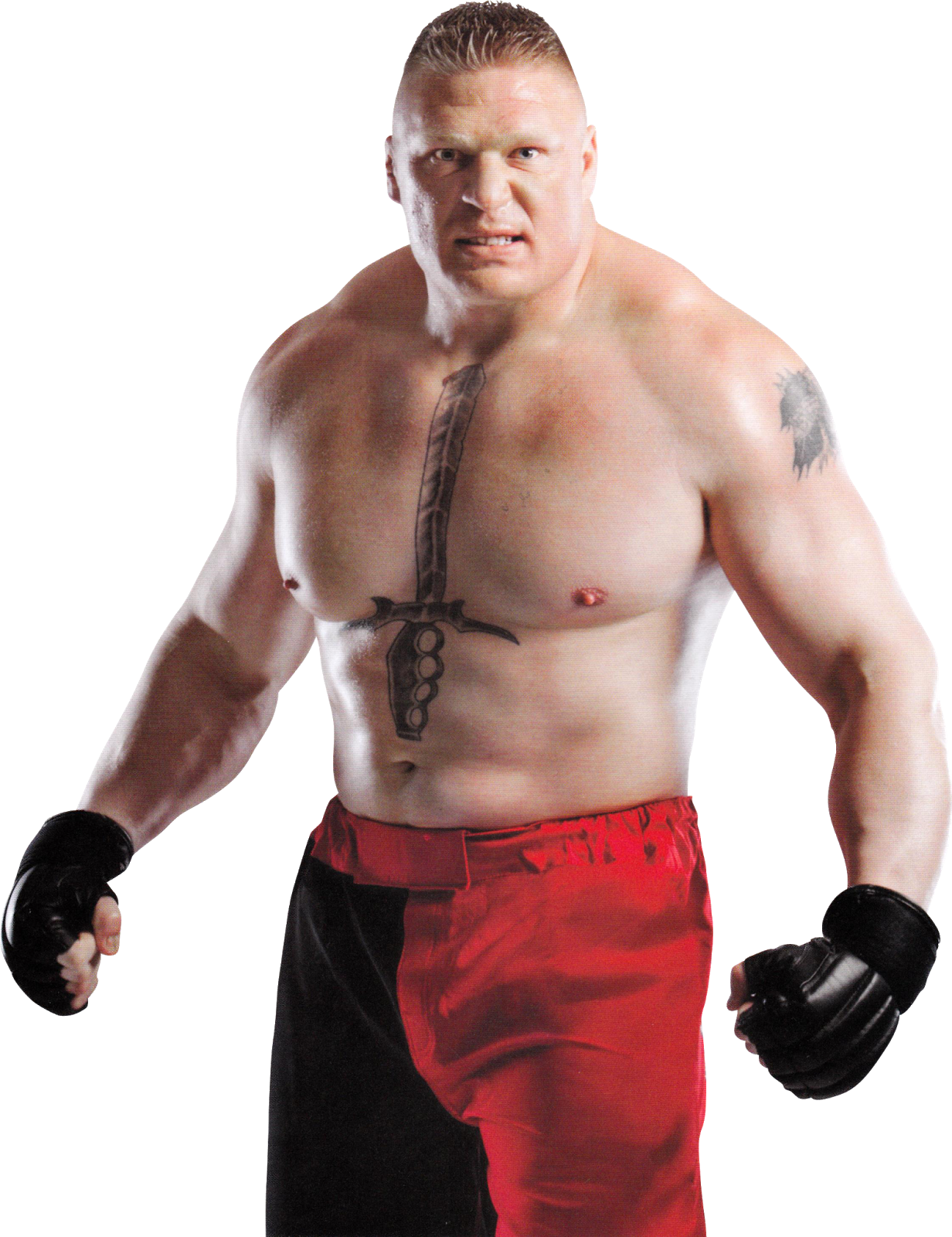 Brock Lesnar Png Hd - Brock Lesnar Photo Hd , HD Wallpaper & Backgrounds