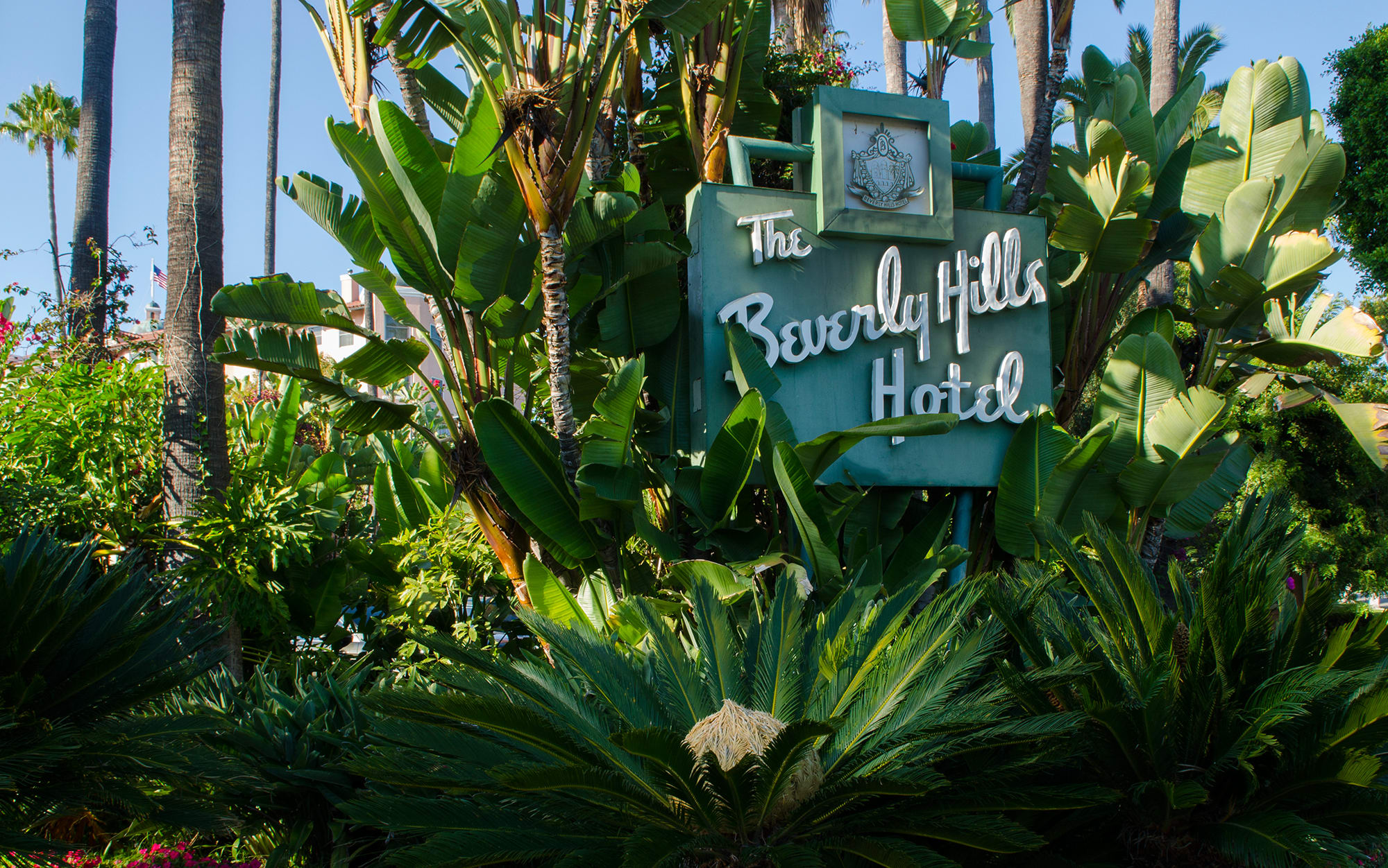 Beverly Hills Hotel Wallpaper , HD Wallpaper & Backgrounds