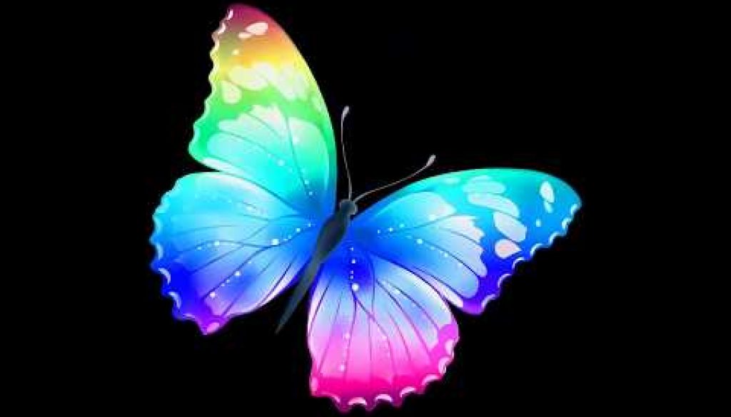 Butterfly , - Beautiful Wallpaper Butterfly , HD Wallpaper & Backgrounds
