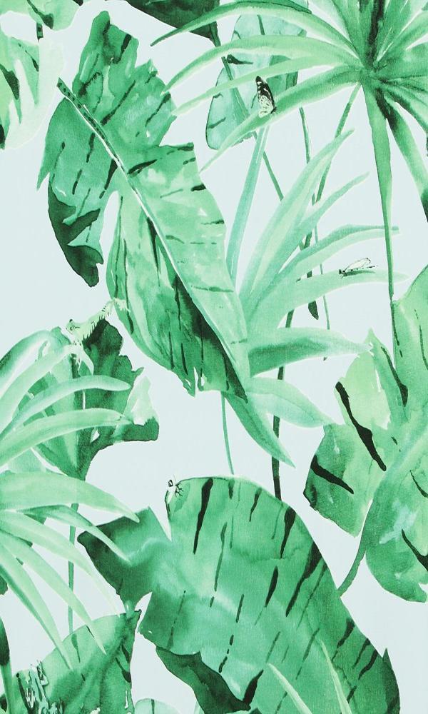 Green Wallpaper Leaves , HD Wallpaper & Backgrounds