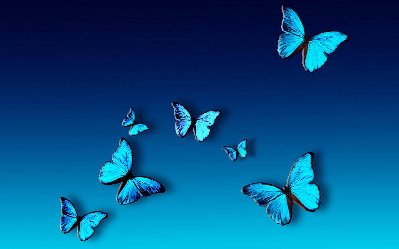 Download Mariposas Azules Fondo De Pantalla Forwallpapercom - Blue Butterfly Backgrounds , HD Wallpaper & Backgrounds