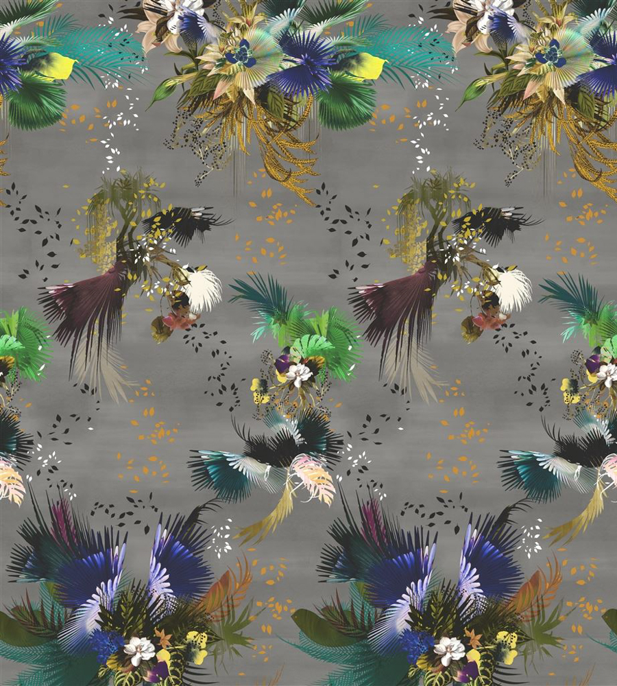Oiseau Fleur Bourgeon , HD Wallpaper & Backgrounds