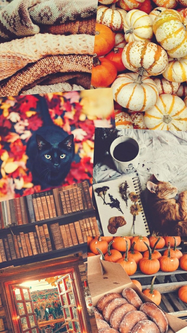 Autumn, Fall, And Wallpaper Image - Phone Wallpaper Autumn , HD Wallpaper & Backgrounds