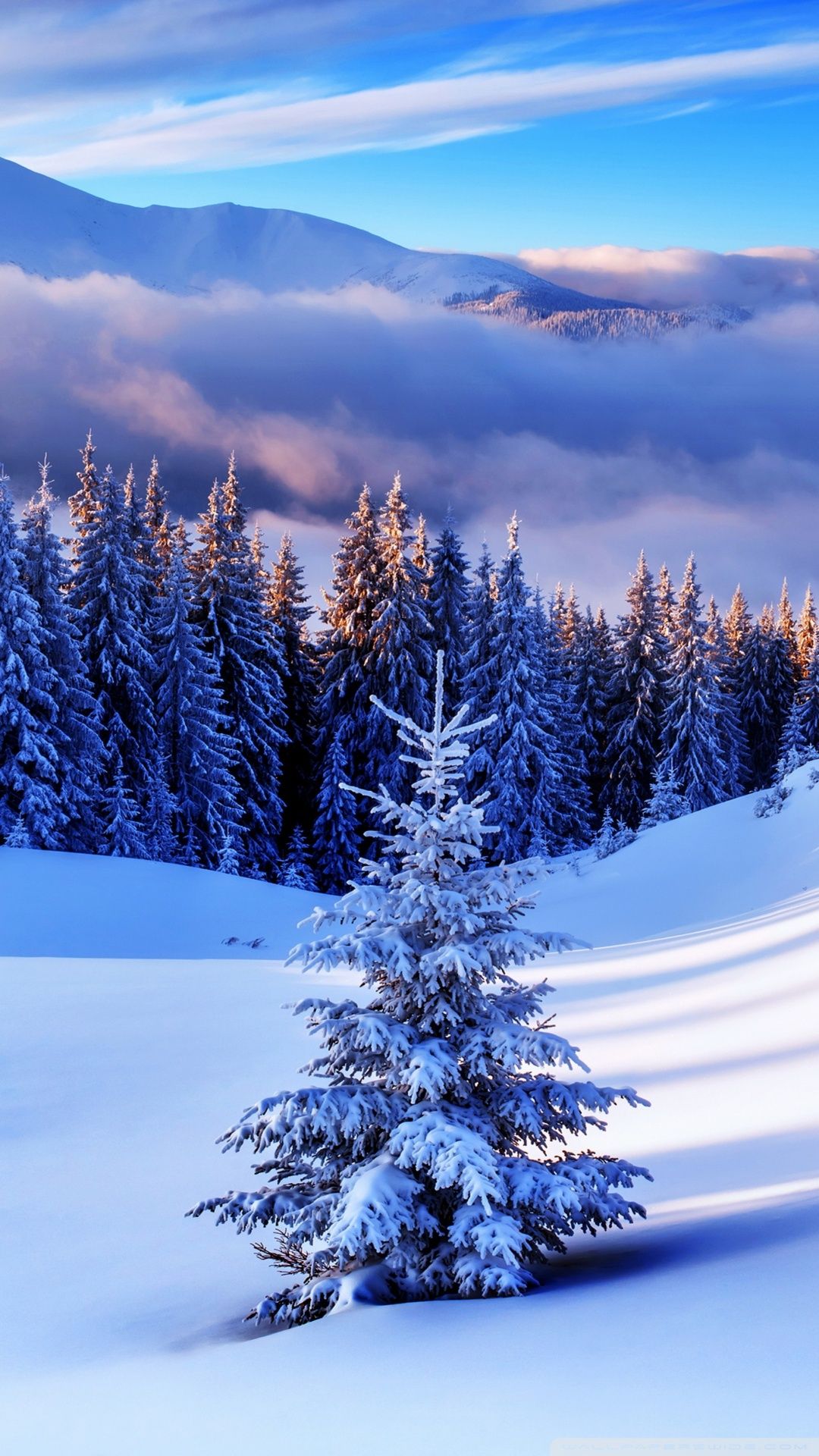 Winter Wallpaper Smartphone , HD Wallpaper & Backgrounds