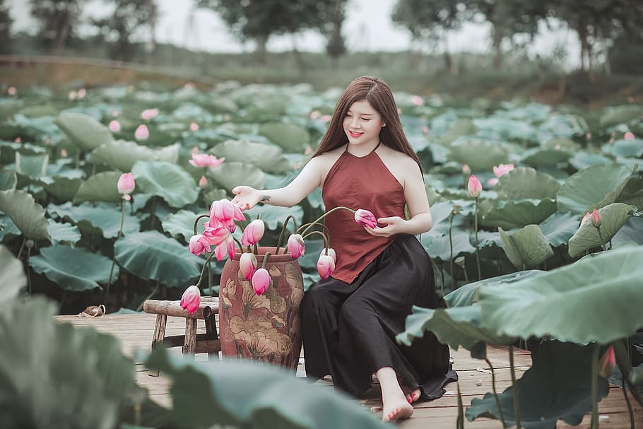 Woman Holding Pink Flowers, Beautiful, Daytime, Girl, - Beautiful Girl With Lotus Flower , HD Wallpaper & Backgrounds