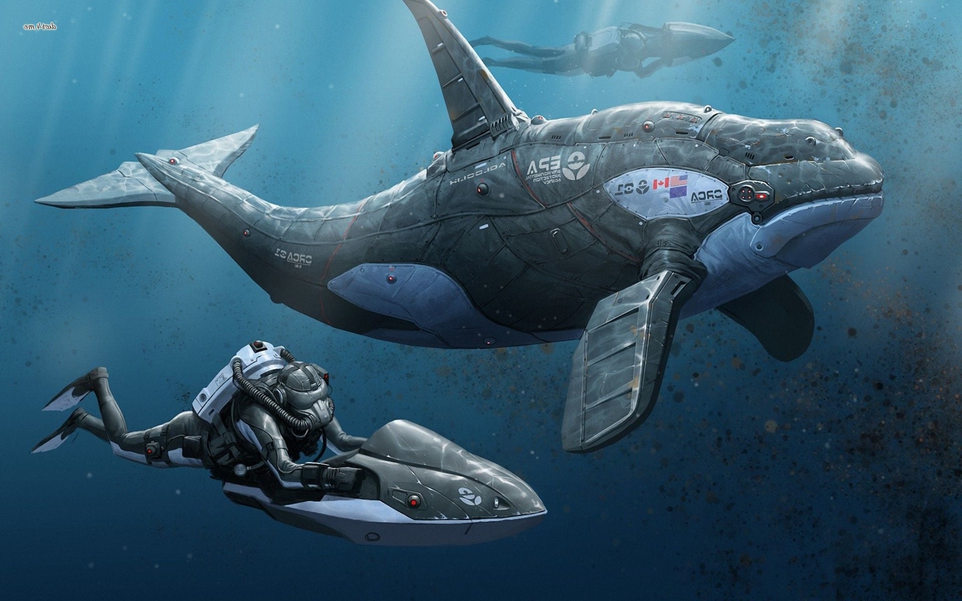 Orca Whale Wallpaper - Killer Whale Wallpaper Art , HD Wallpaper & Backgrounds