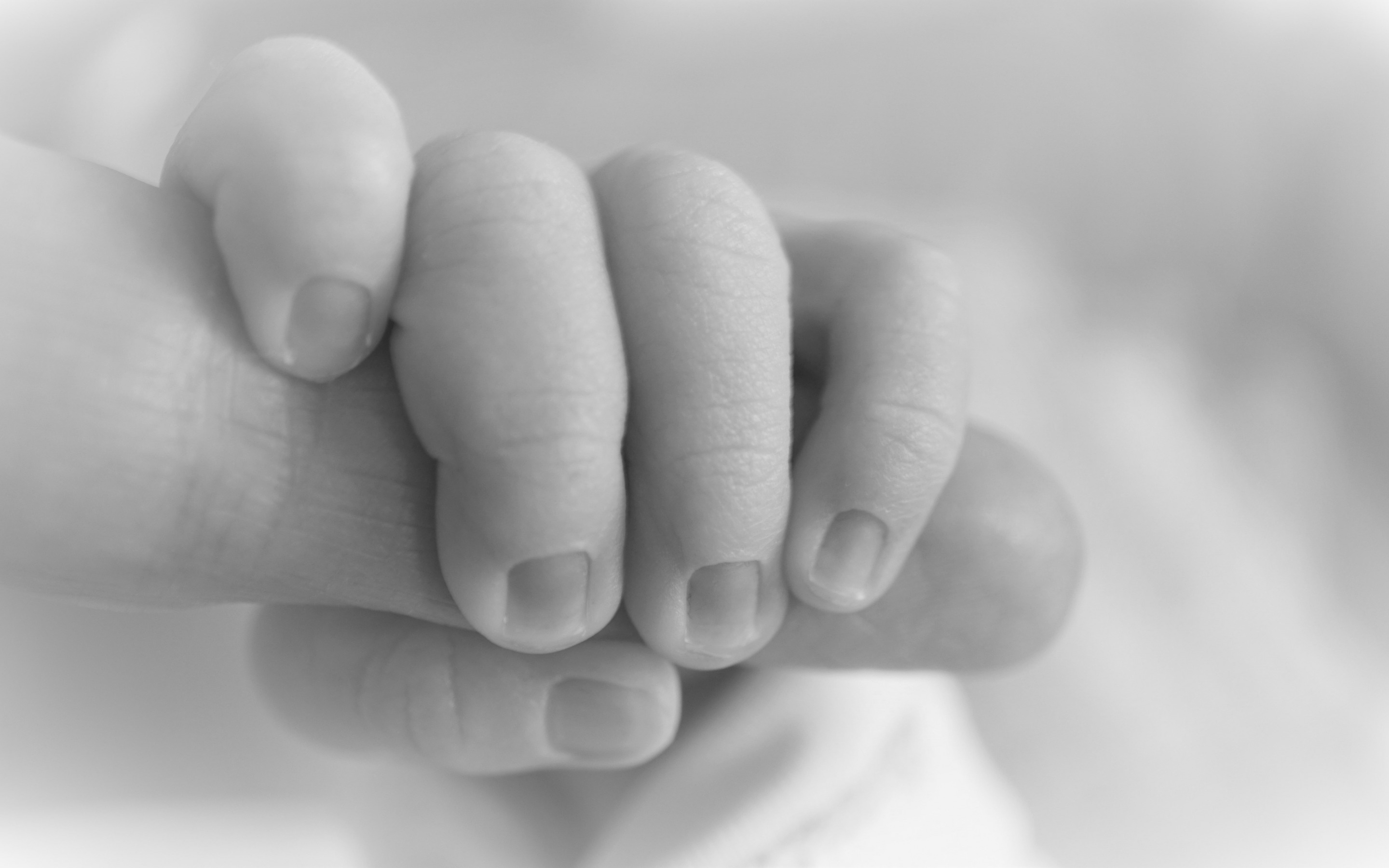 Family Concepts, Hands Of Mom And Baby, Birth Of A - Newborn Baby Hand Black And White , HD Wallpaper & Backgrounds