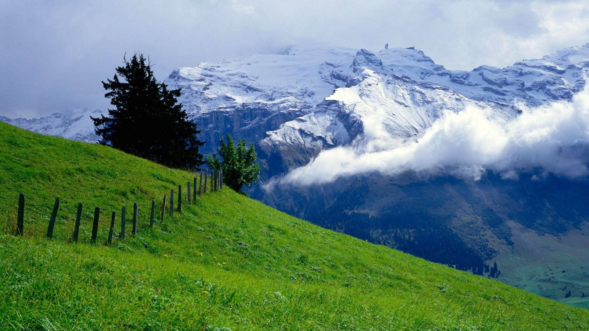 Nature Hd Wallpapers 1080p Widescreen - Nature Beauty Of Switzerland , HD Wallpaper & Backgrounds