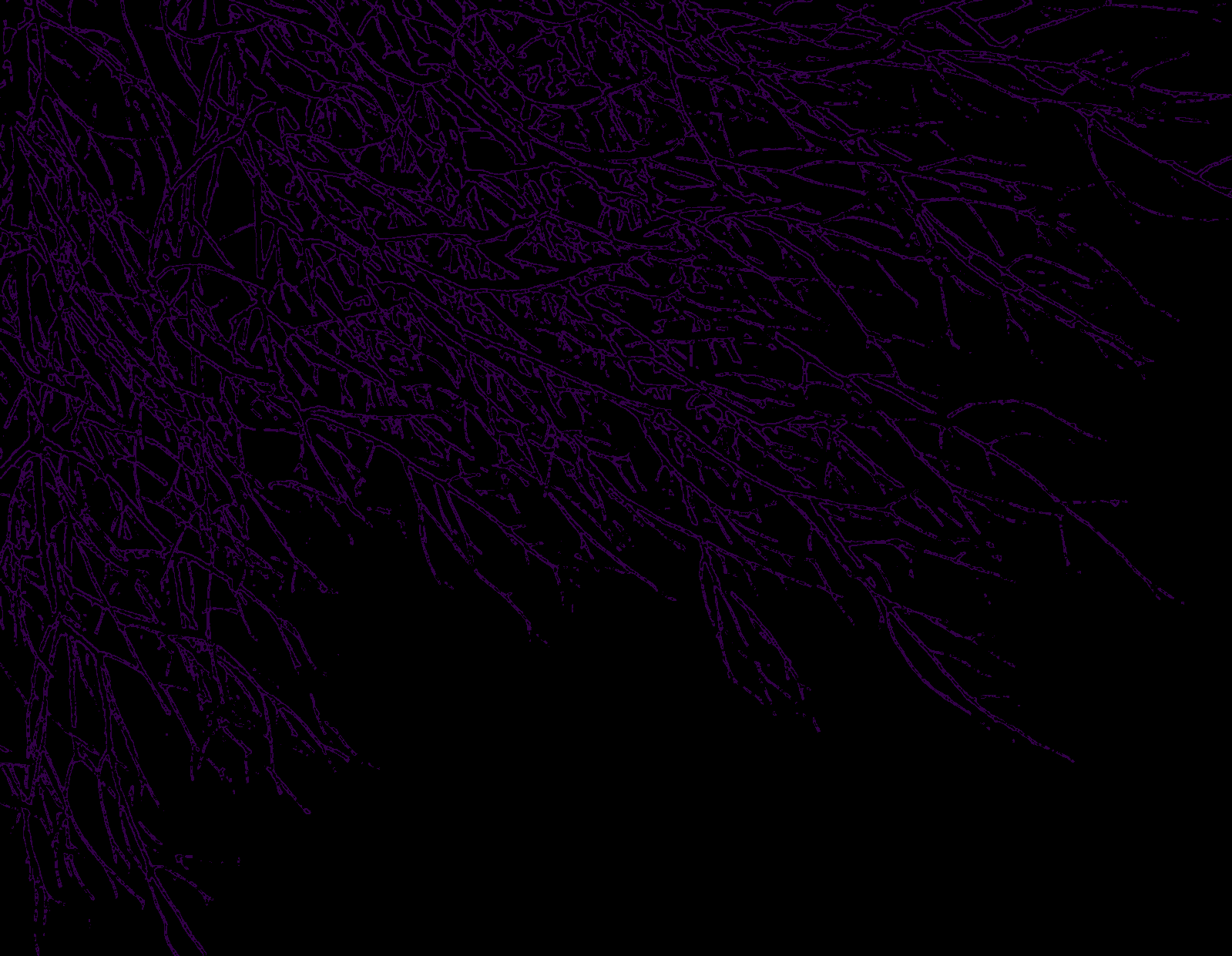 Dark Purple Backgrounds Png - Dark Purple And Black Background , HD Wallpaper & Backgrounds