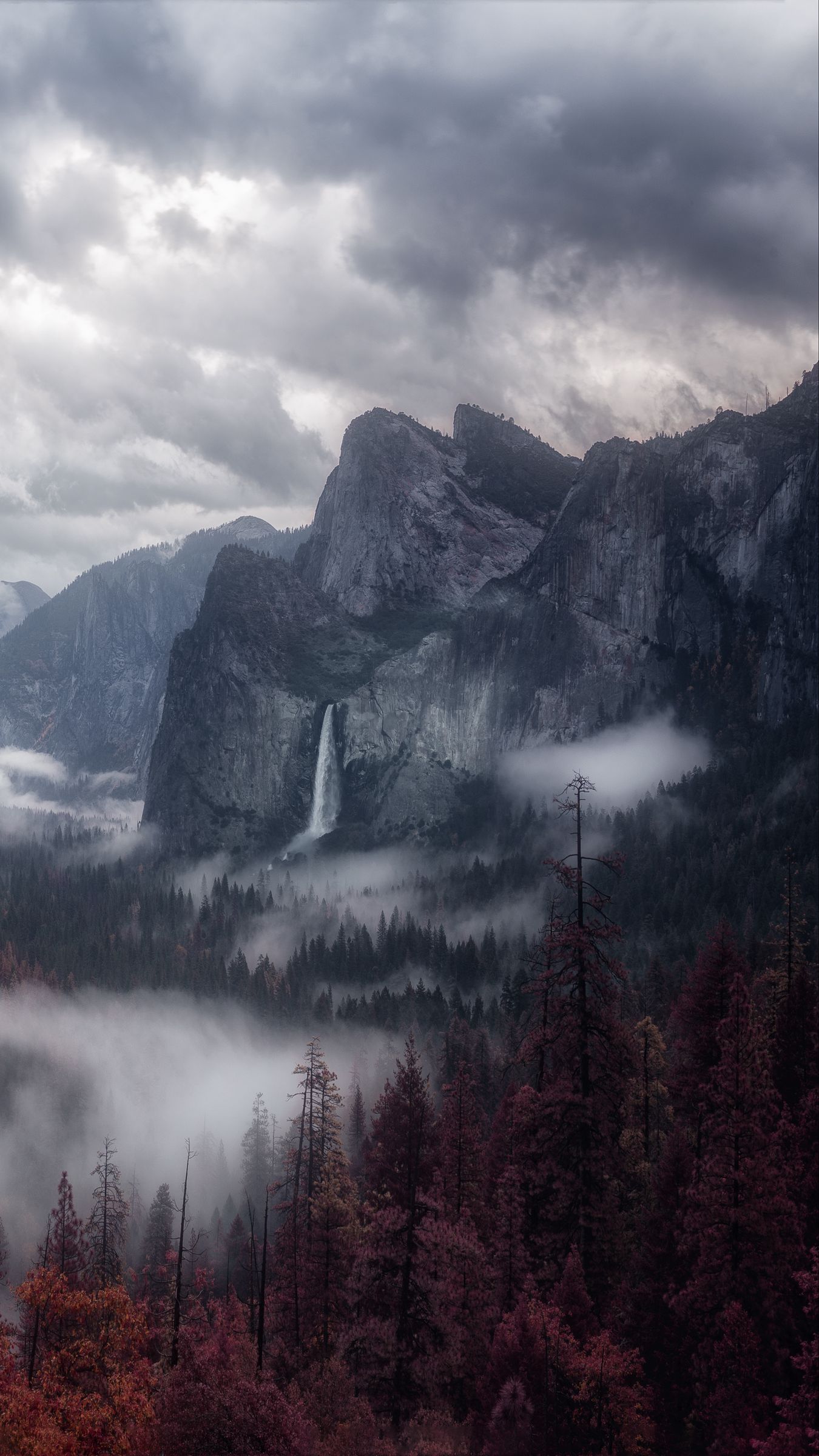 Wallpaper Mountains, Fog, Trees, Sky - Mountain Fog , HD Wallpaper & Backgrounds