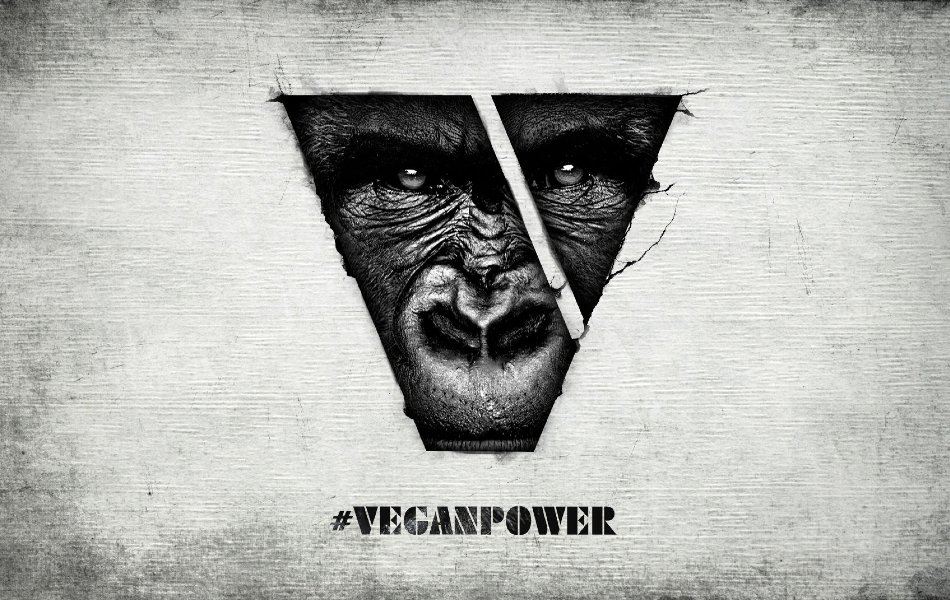 Vegan Power , HD Wallpaper & Backgrounds