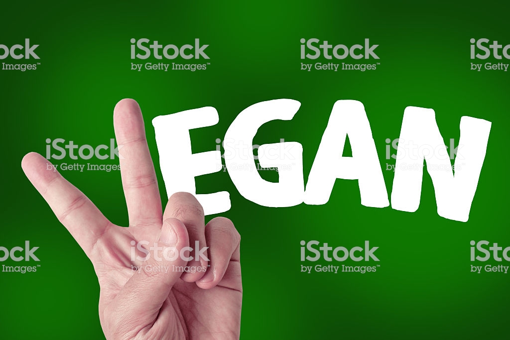 Sign Language , HD Wallpaper & Backgrounds