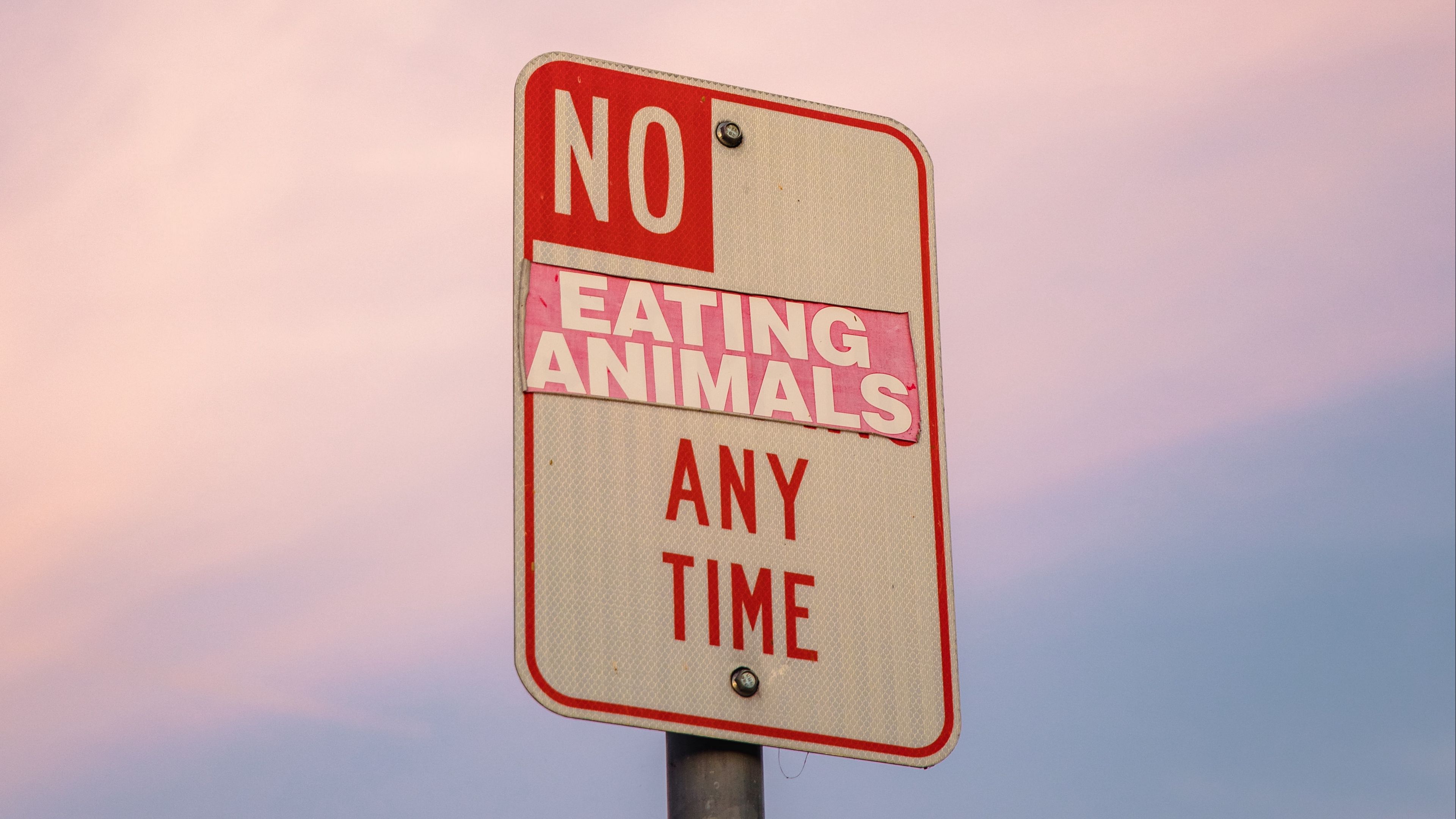 Wallpaper Vegan, Veganism, Vegetarian, Sign, Animals - Stop Eating Animals , HD Wallpaper & Backgrounds