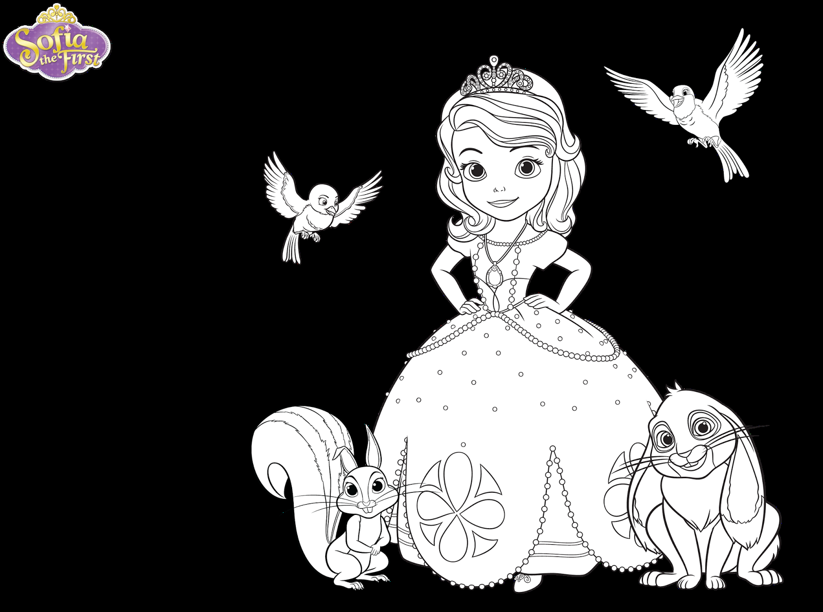 Beautiful Disney Princesses Sofia Coloring Colour Drawing - Princess Sofia Cartoon Drawing , HD Wallpaper & Backgrounds