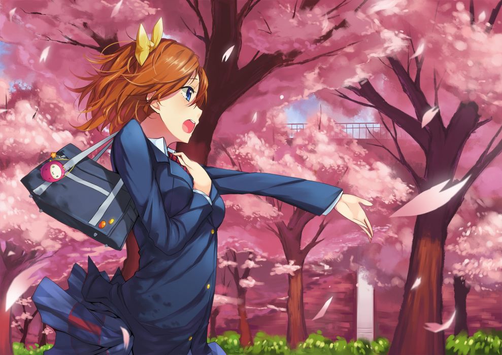 Love Live School Idol Anime Series Tree Sakura Anime - Honoka Kousaka , HD Wallpaper & Backgrounds