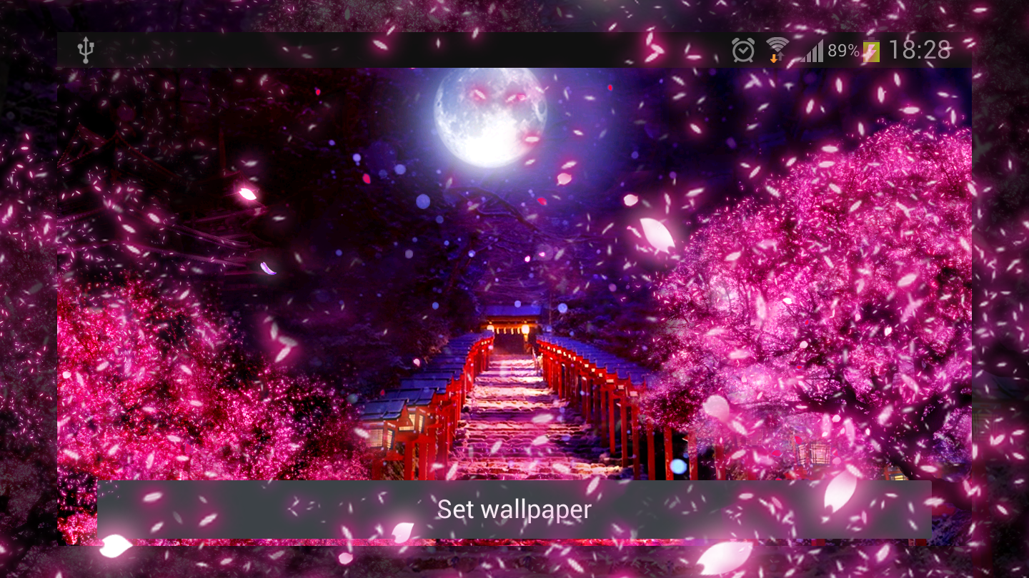 Sakura Live Wallpaper - Cherry Blossom Under Moon , HD Wallpaper & Backgrounds