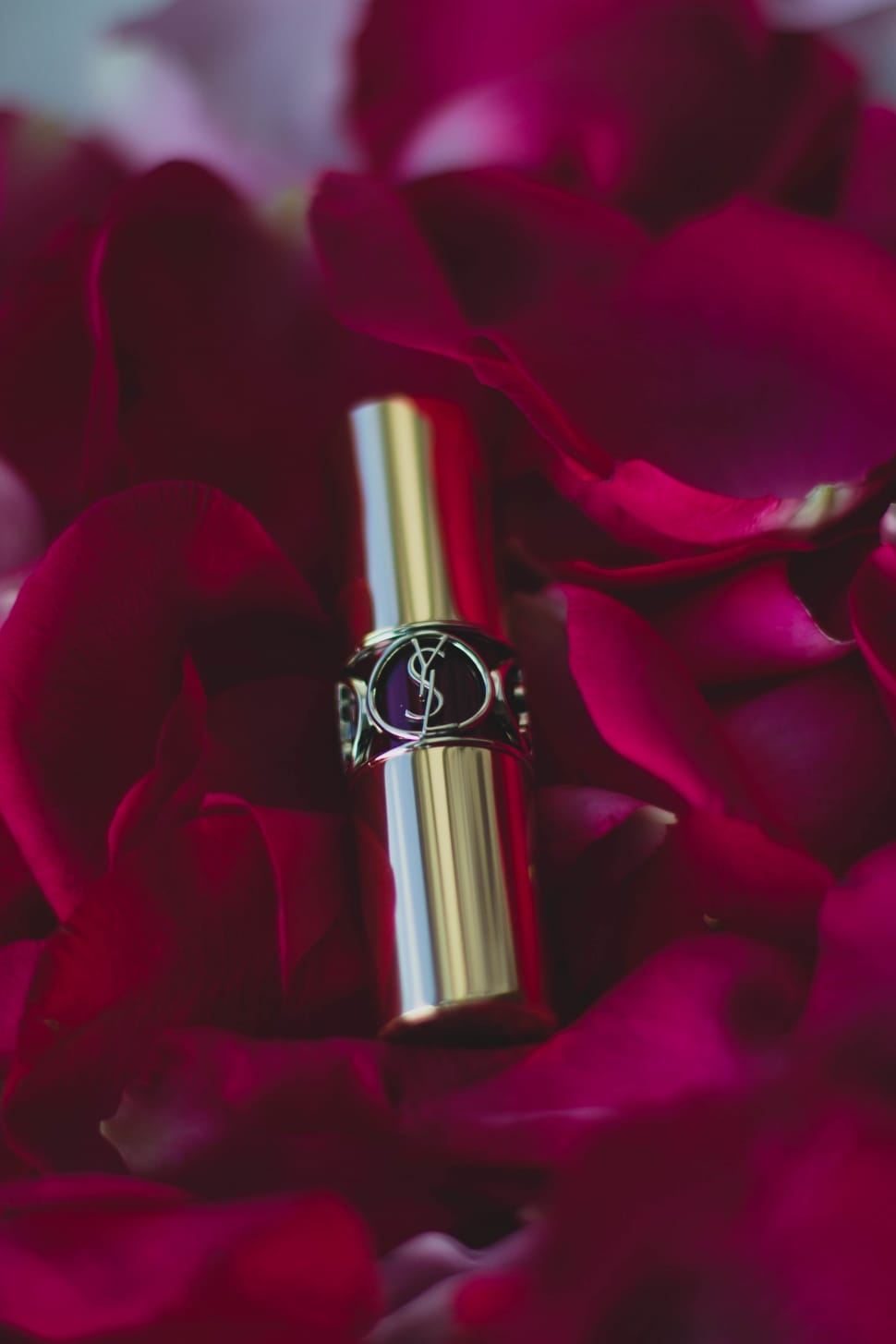 Yves Saint Laurent Lipstick Surrounded With Red Rose - Yves Saint Laurent Lipstick Flower , HD Wallpaper & Backgrounds