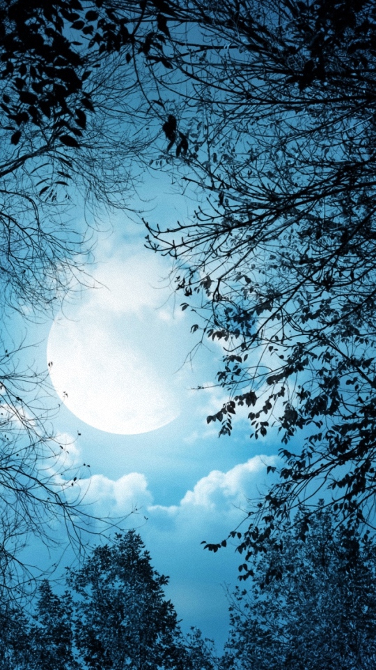 Hd White Autumn Night Samsung Galaxy Wallpapers - Beautiful Autumn Night Sky , HD Wallpaper & Backgrounds