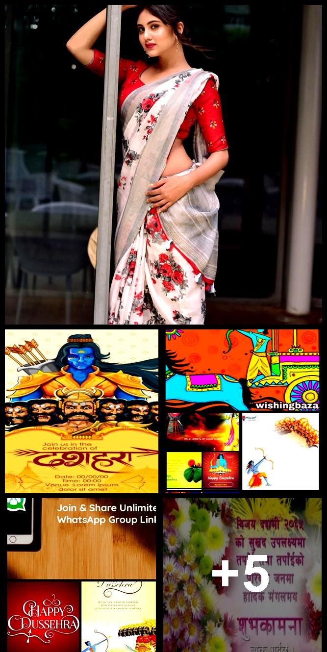 Tarannum Haque In Saree , HD Wallpaper & Backgrounds