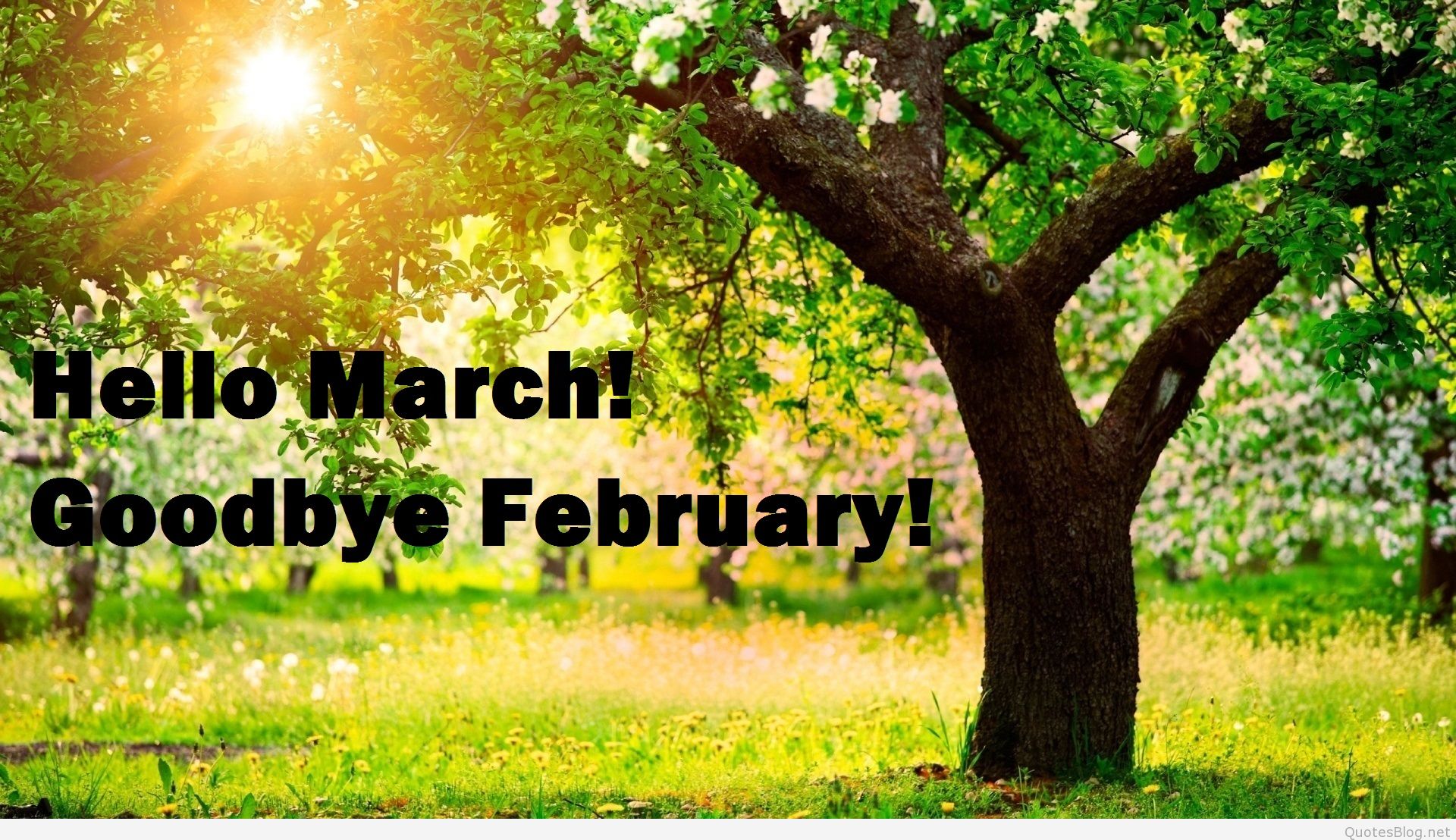 Hello March Goodbye February - Goodbye February Hello March , HD Wallpaper & Backgrounds