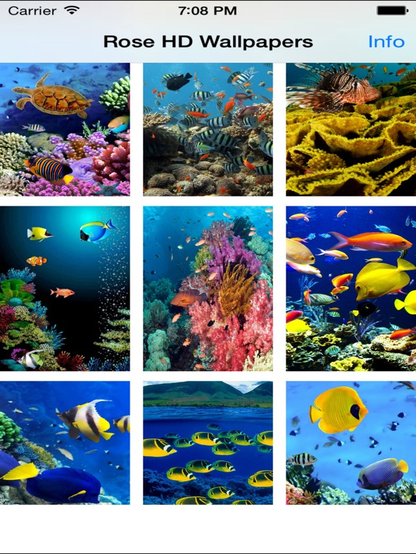 Marine Biology , HD Wallpaper & Backgrounds