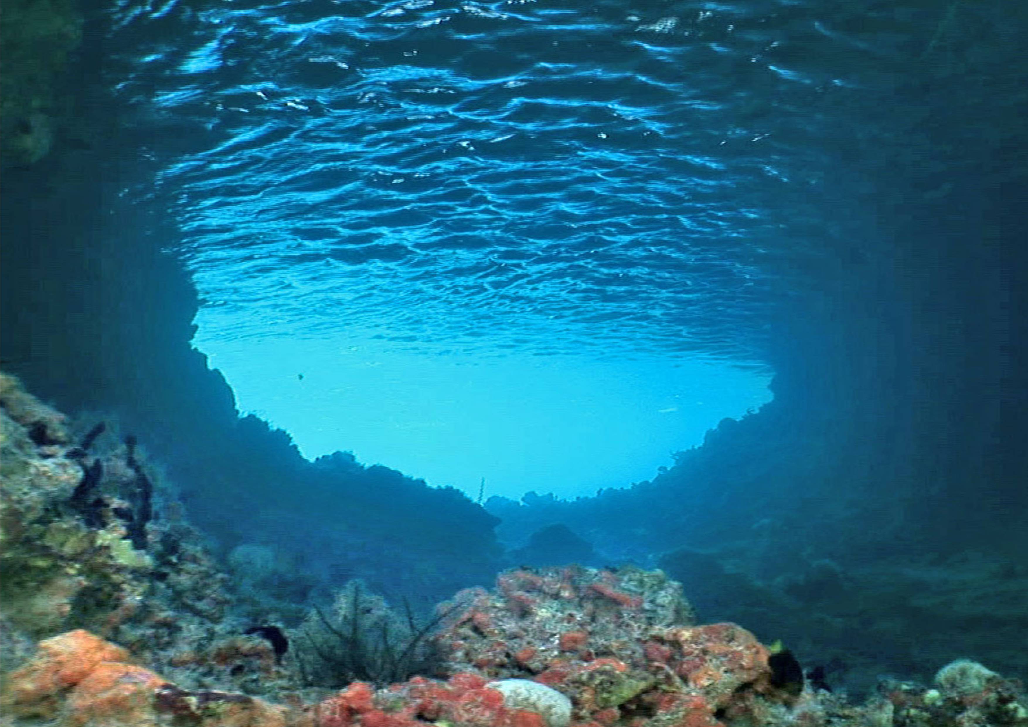 Underwater Hd Images - Through The Tunnel Doris Lessing , HD Wallpaper & Backgrounds