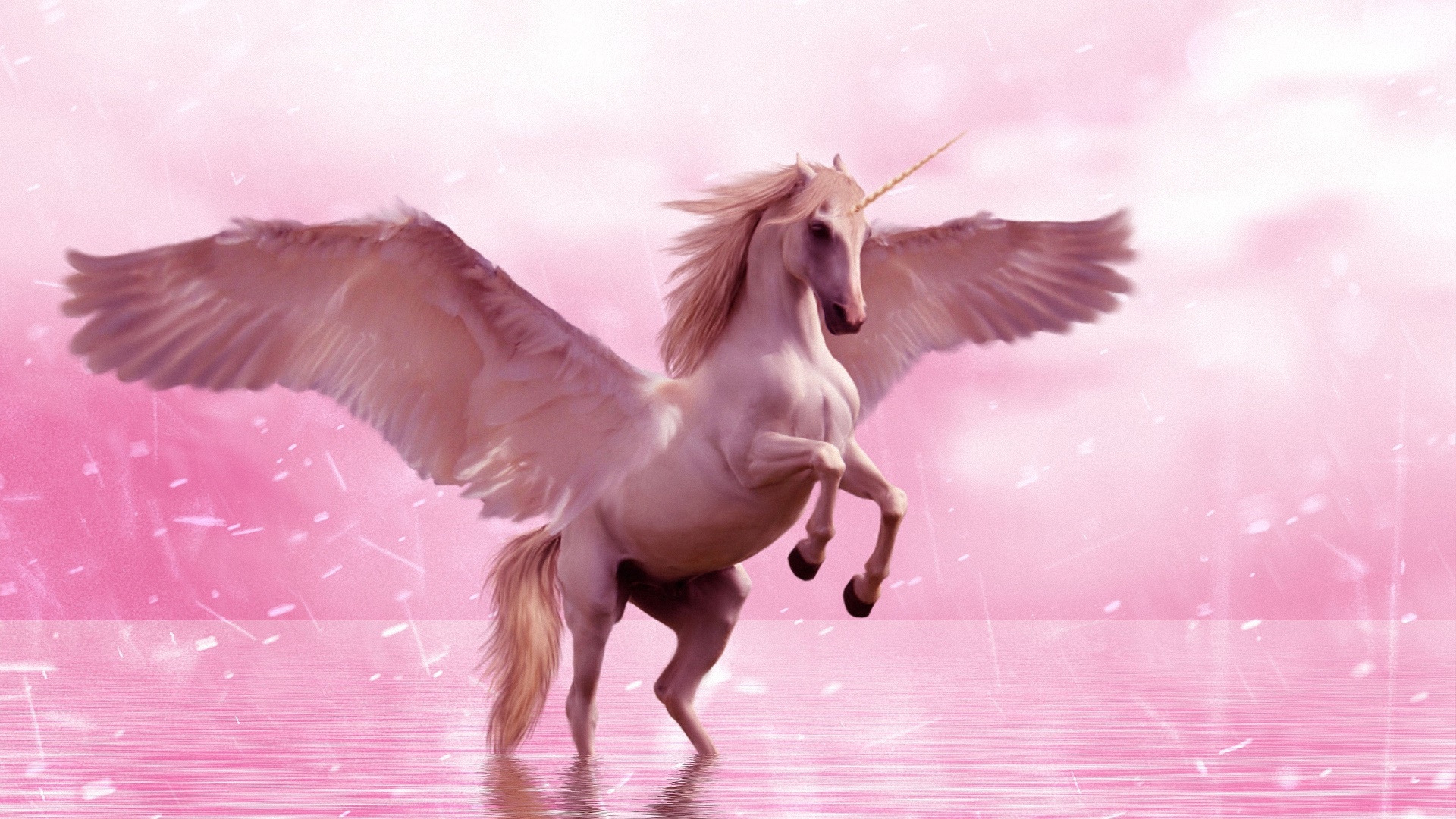 Unicorn Horse , HD Wallpaper & Backgrounds