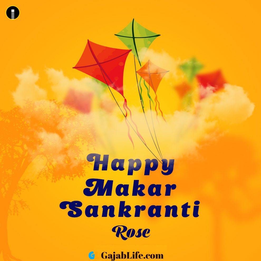 Rose Makar Sankranti 2020 Messages Status Pongal Wishes - Happy Makar Sankranti 2020 , HD Wallpaper & Backgrounds