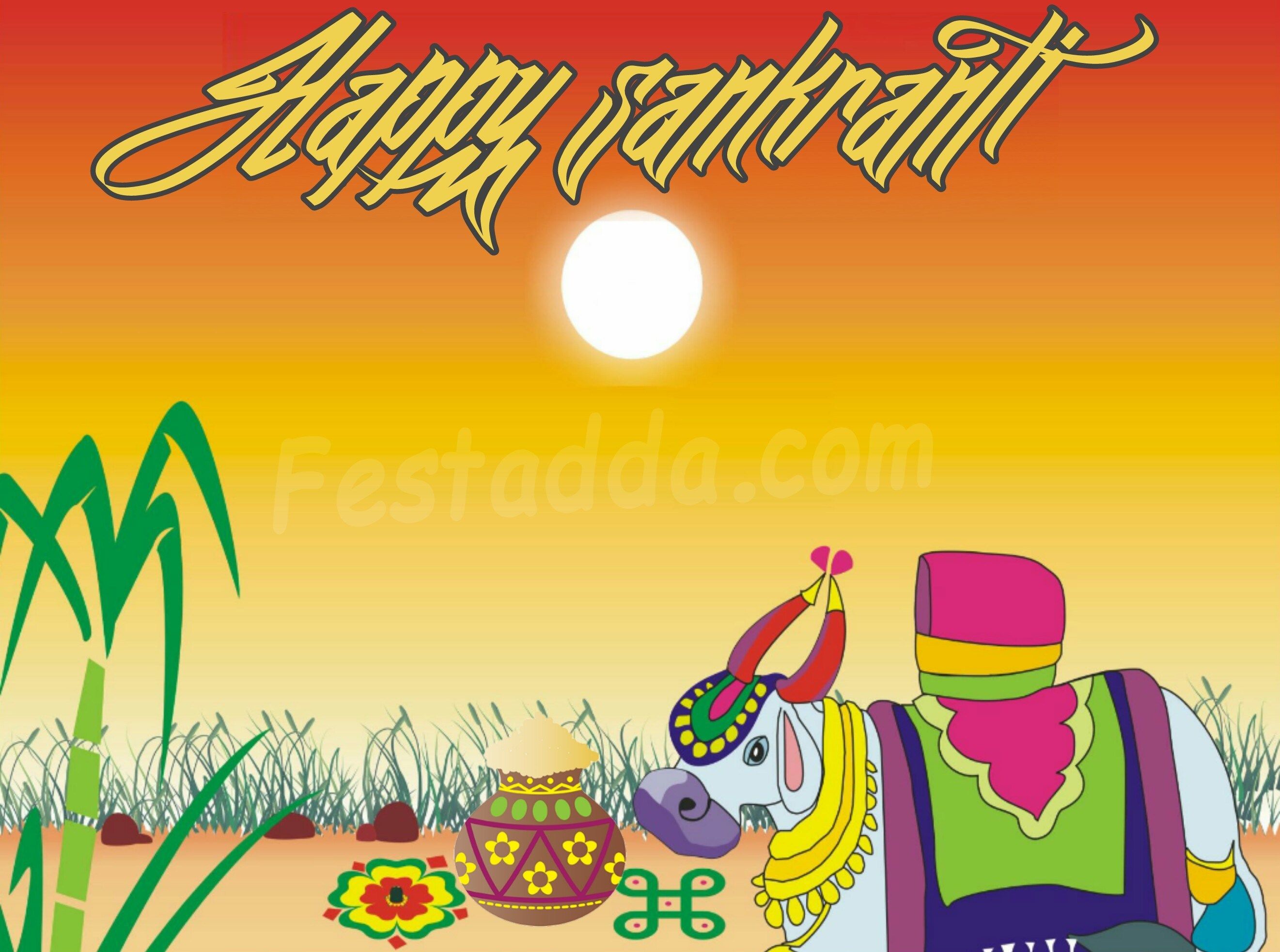 Makar Sankranti Harvest Festival , HD Wallpaper & Backgrounds