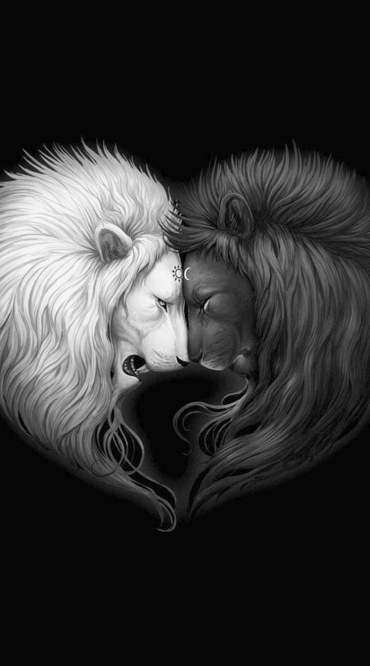 Wolf Yin Yang , HD Wallpaper & Backgrounds