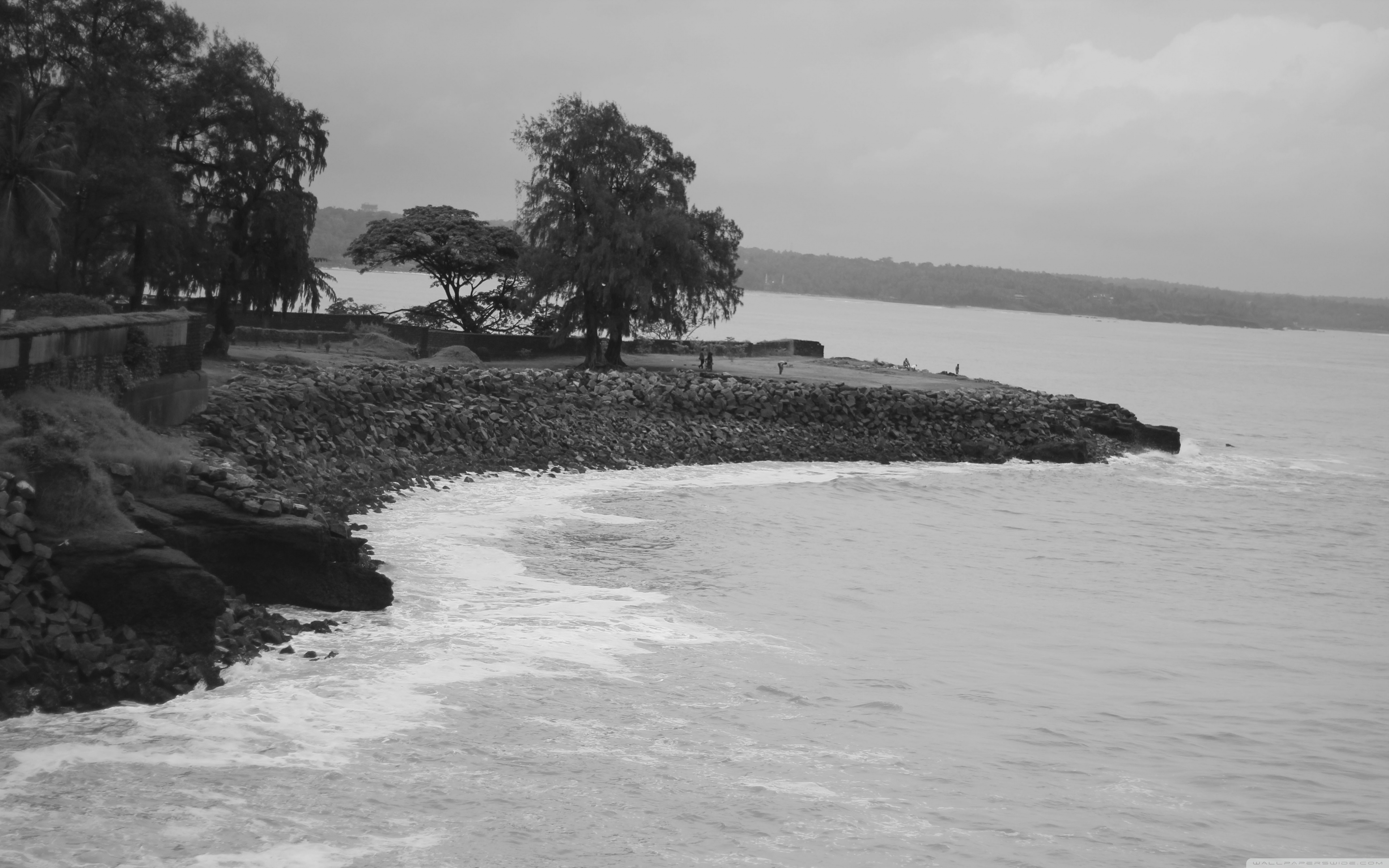 Black And White Images Of Beach Of Kerala , HD Wallpaper & Backgrounds