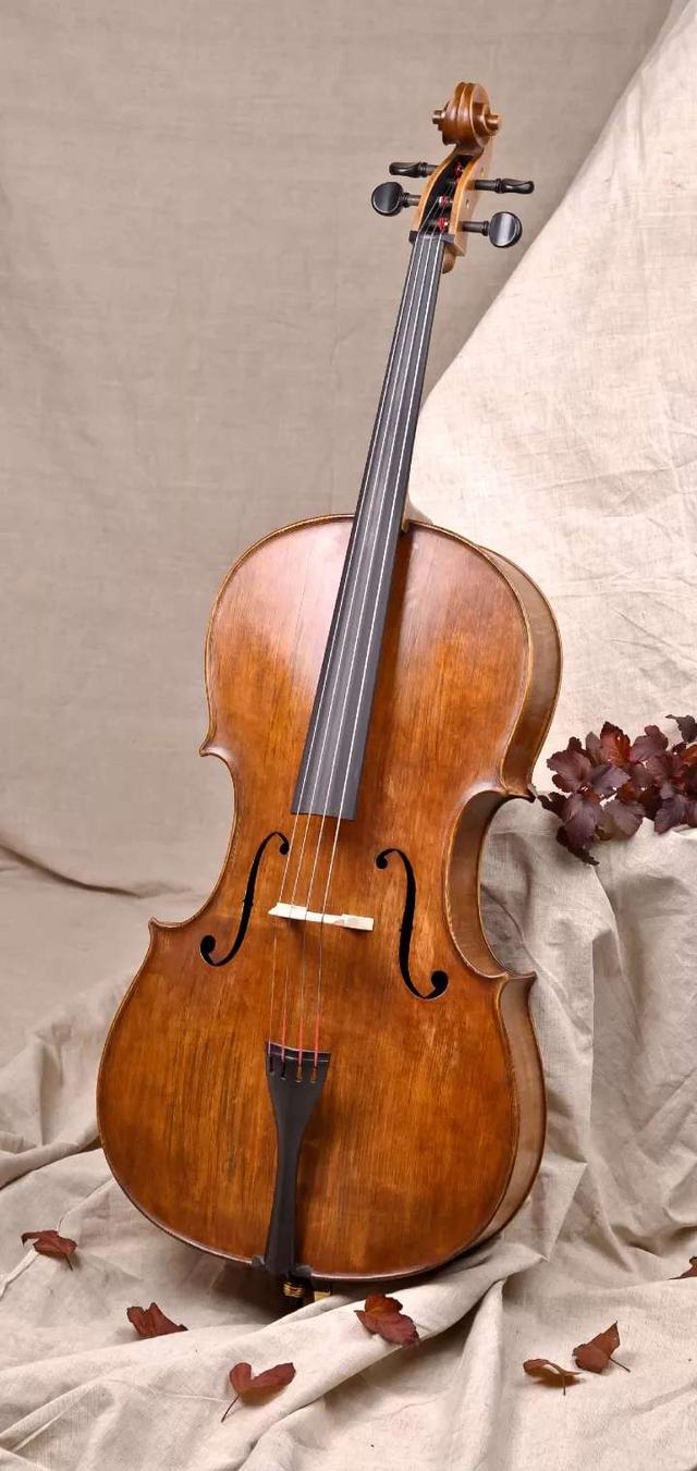 Viola (#3160166) - HD Wallpaper & Backgrounds Download