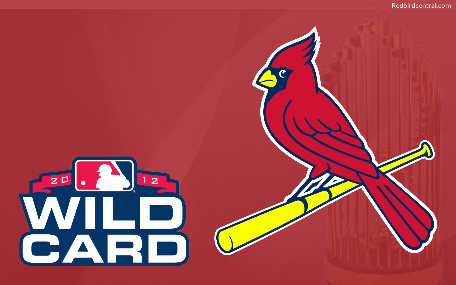 St Louis Cardinals Wallpaper Archives Page Of - St Louis Cardinals New Logo , HD Wallpaper & Backgrounds