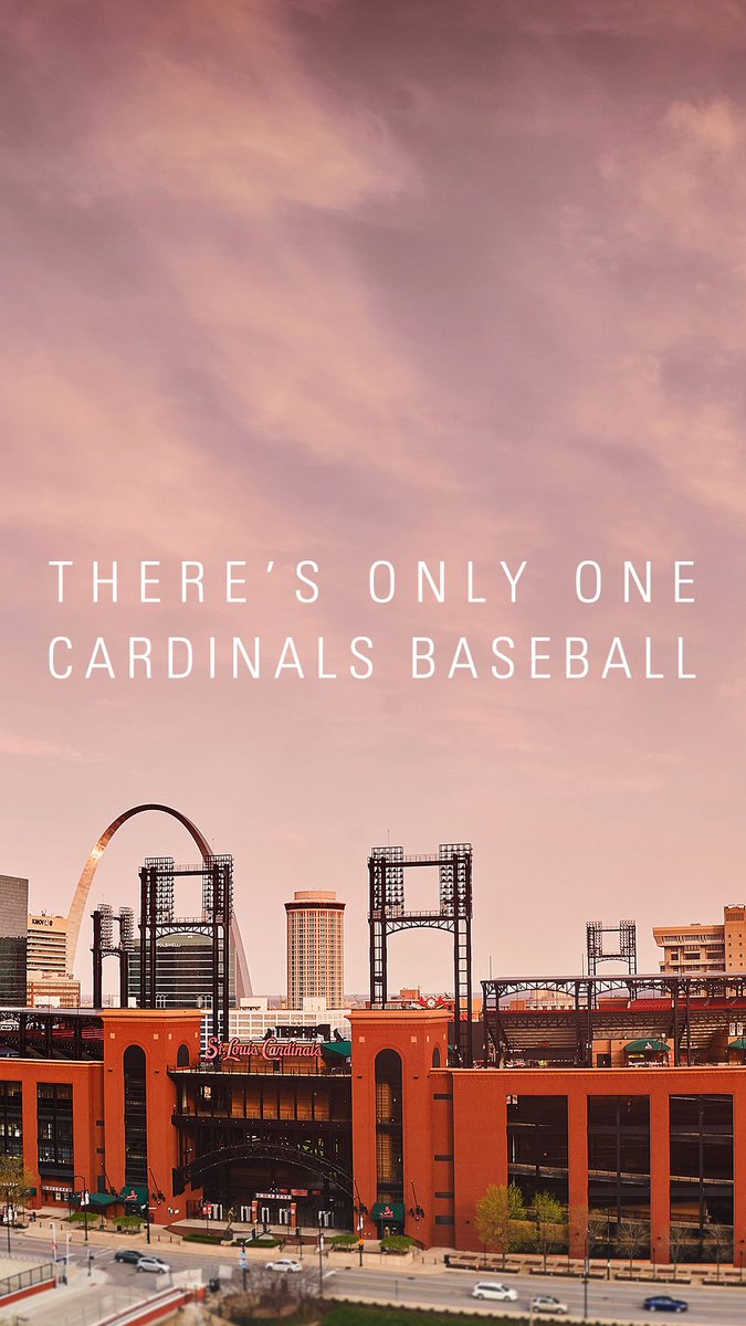 There's Only One Cardinals Baseball , HD Wallpaper & Backgrounds