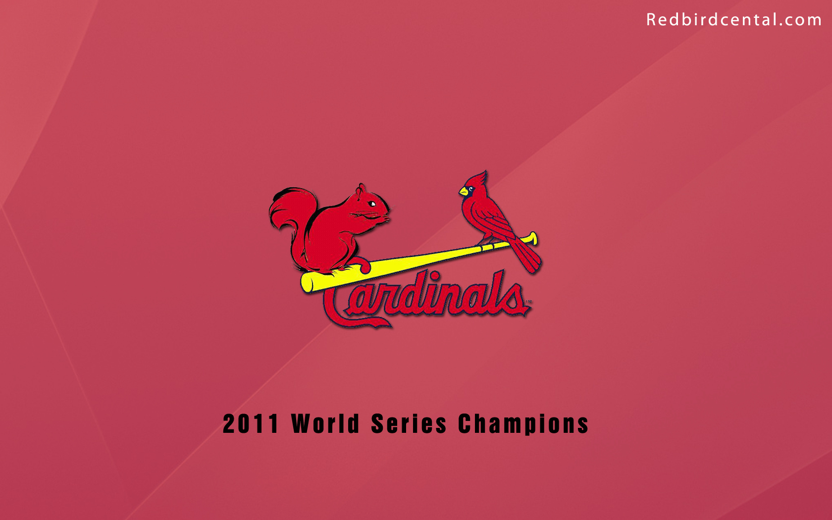 St Louis Cardinals Rally Squirrel , HD Wallpaper & Backgrounds