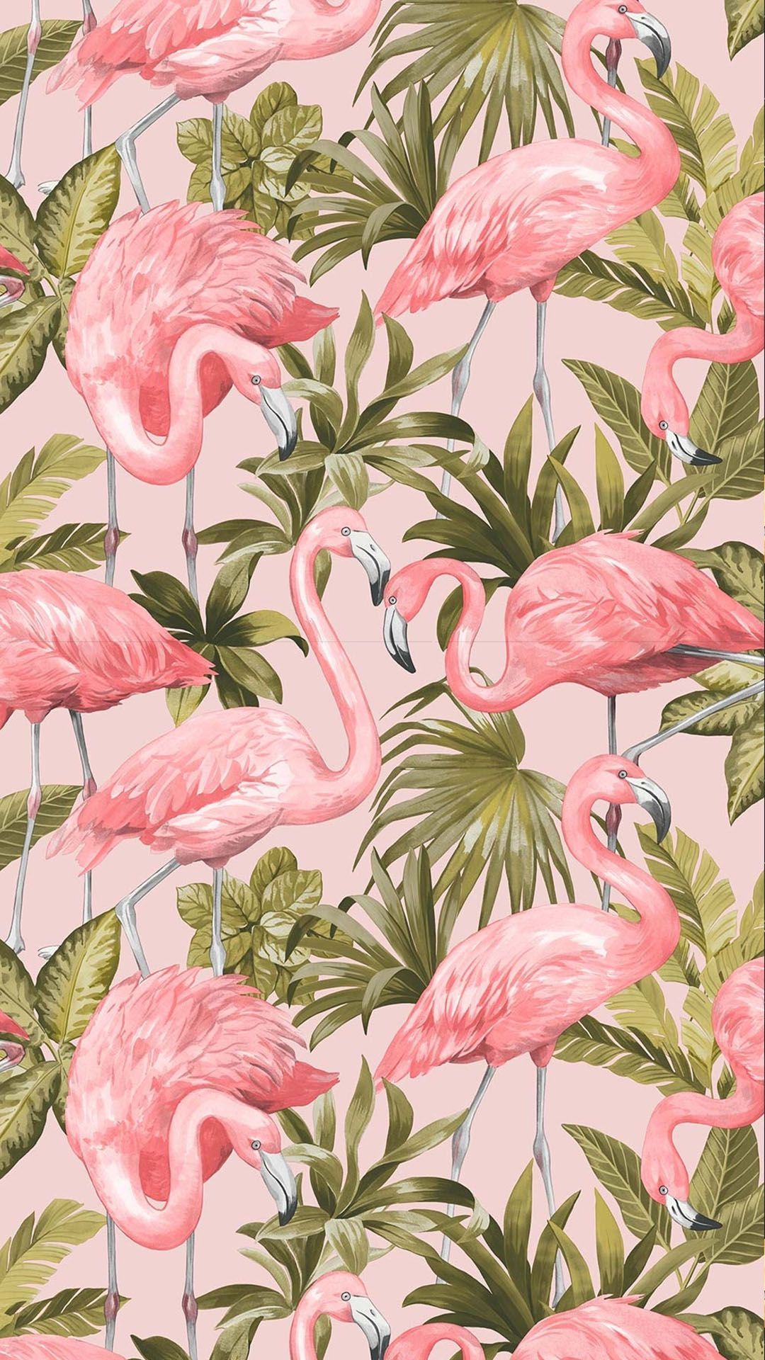Flower Pinterest Flamingo , HD Wallpaper & Backgrounds