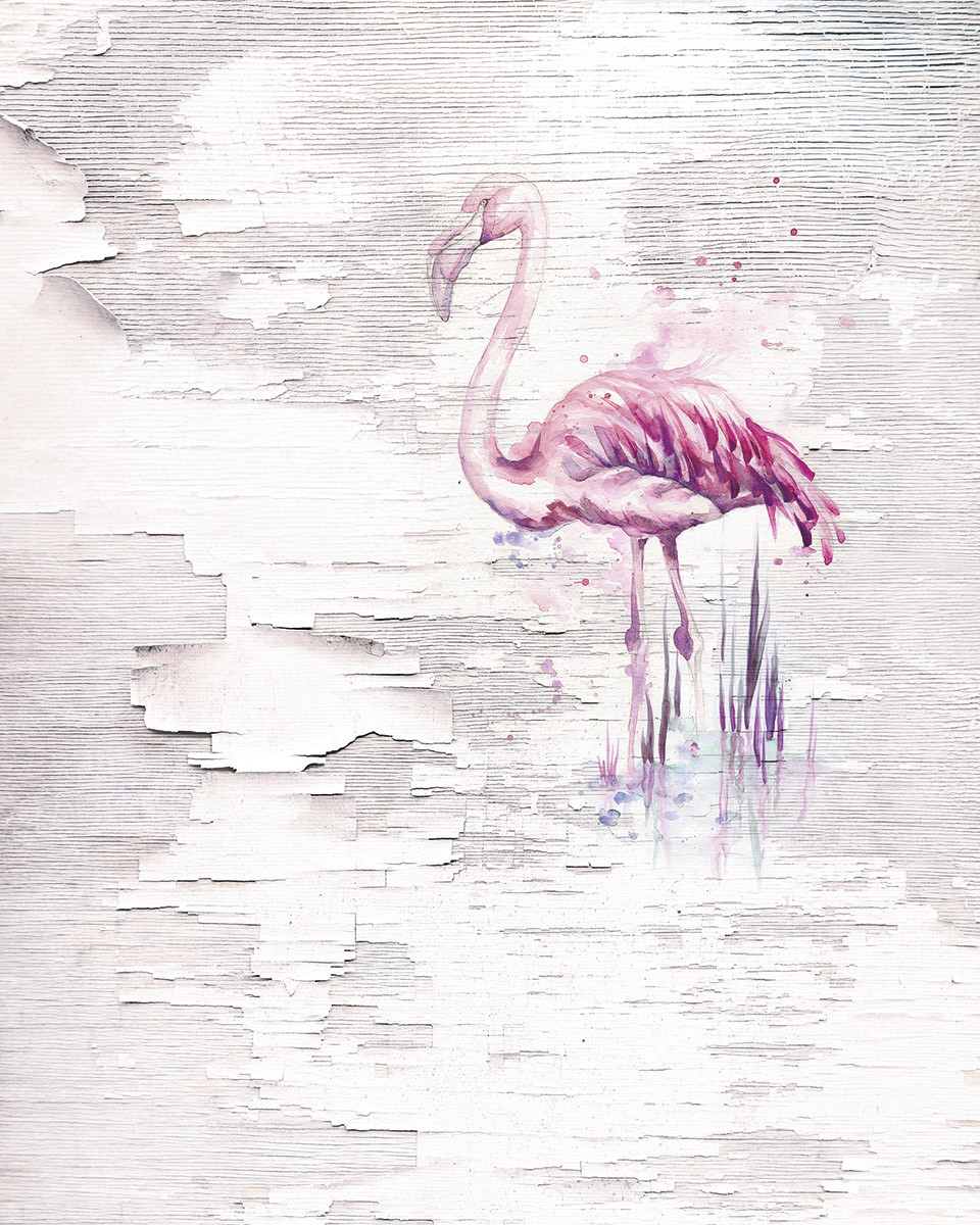 Pink Flamingo 
 Title Pink Flamingo 
 Data Zoomres - Flamingo Tapetti , HD Wallpaper & Backgrounds
