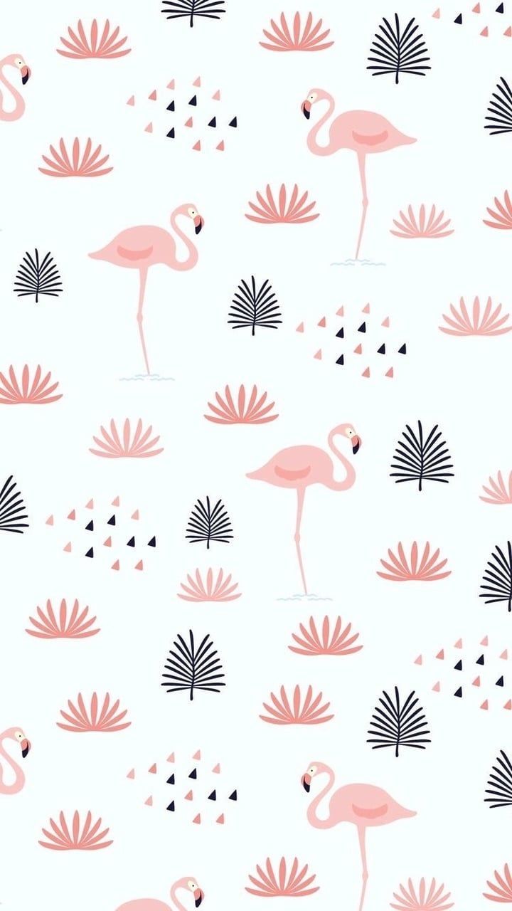 Pink Flamingo Wallpaper - خلفيات فلامنجو , HD Wallpaper & Backgrounds