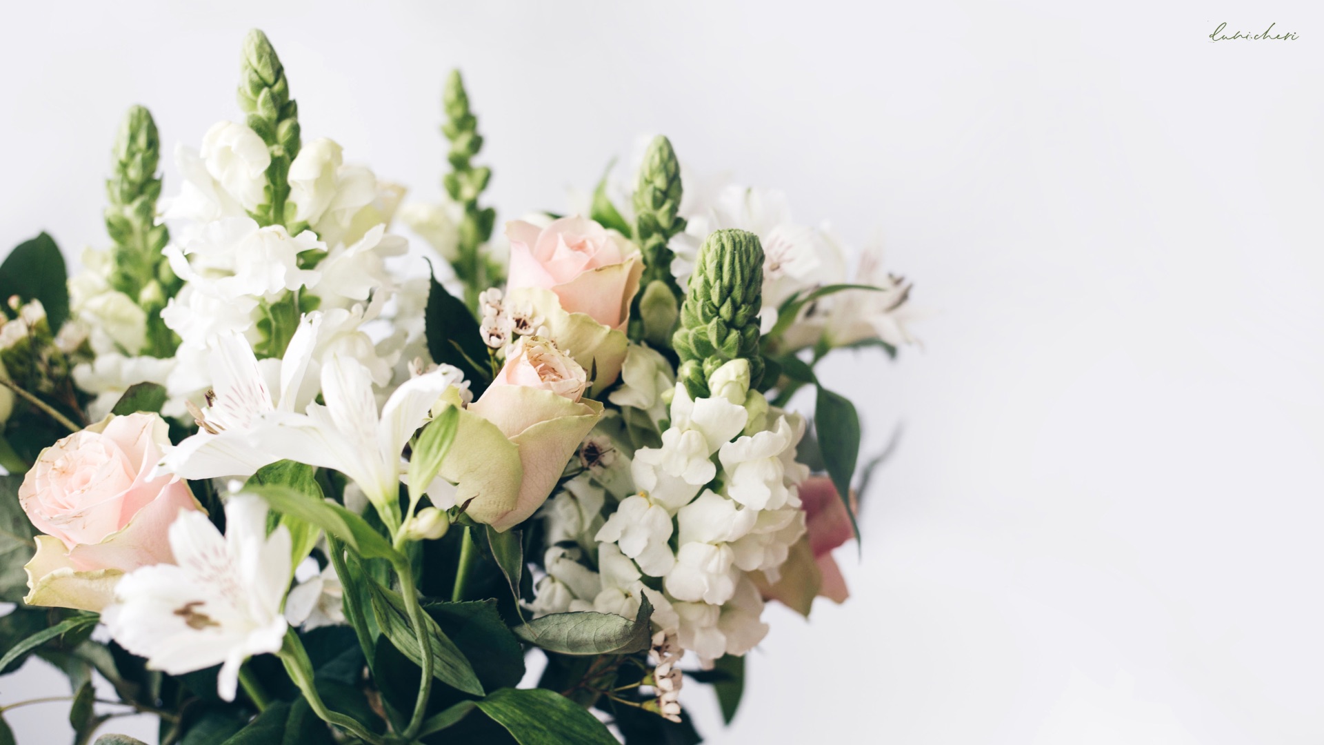 Featured image of post Wallpaper Blumenstrau