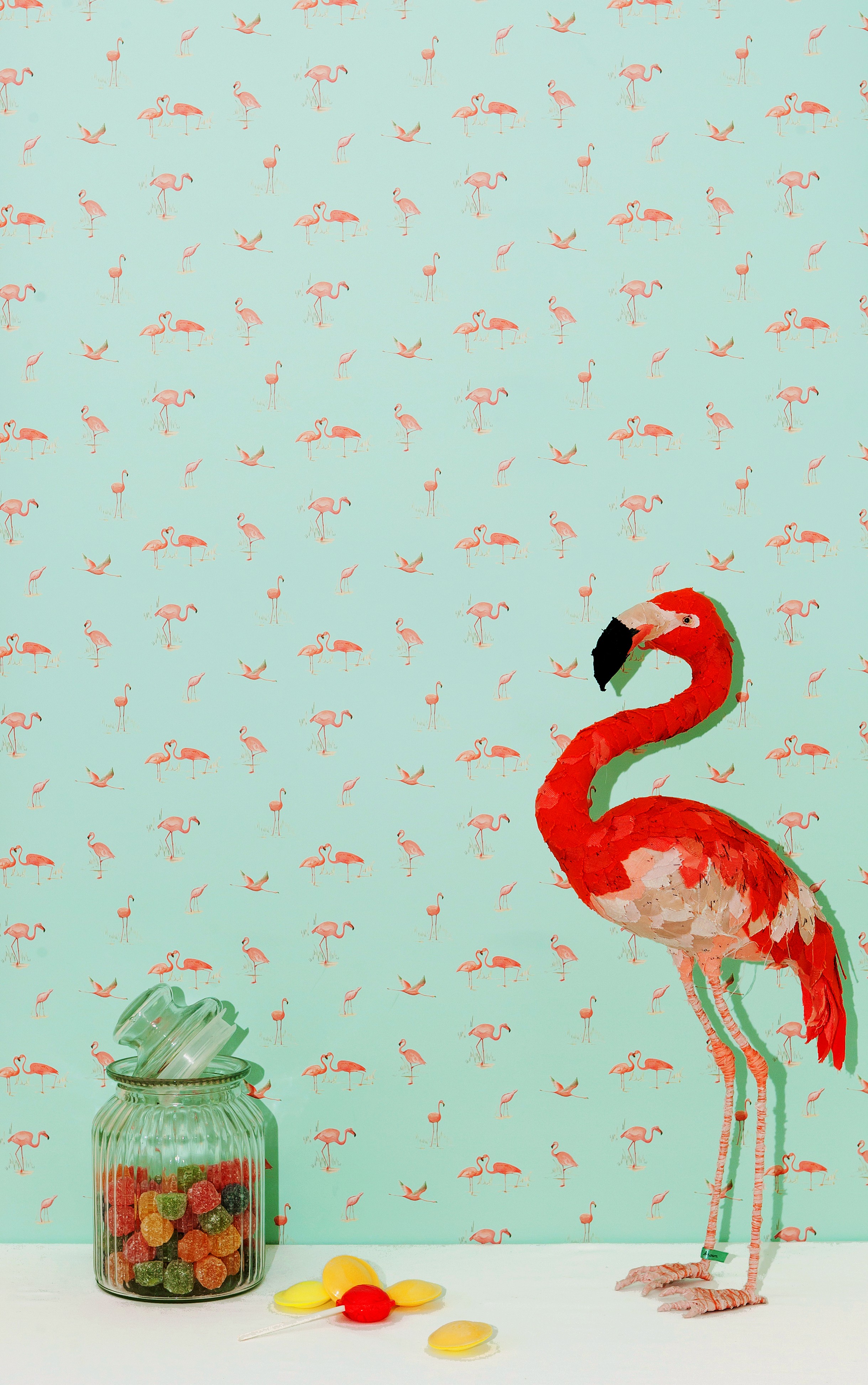 Flamingos Flamingo Hd Wallpaper - Greater Flamingo , HD Wallpaper & Backgrounds