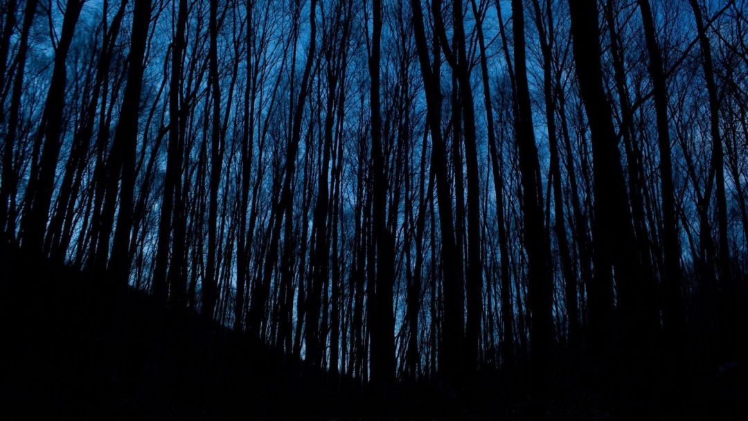 Dark Blue Aesthetic Tumblr - Blue Dark Aesthetic Backgrounds , HD Wallpaper & Backgrounds
