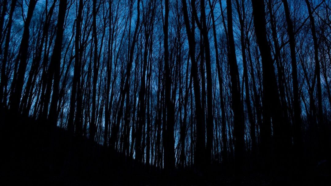 Featured image of post Aesthetic Dark Blue Wallpaper Tumblr I download pics from favin com pinterest weheart so if i steal your pics tell me