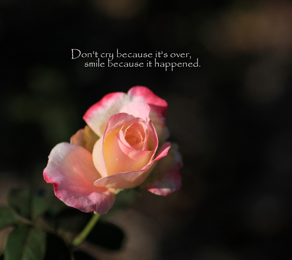 Cry Because It's Over Smile , HD Wallpaper & Backgrounds