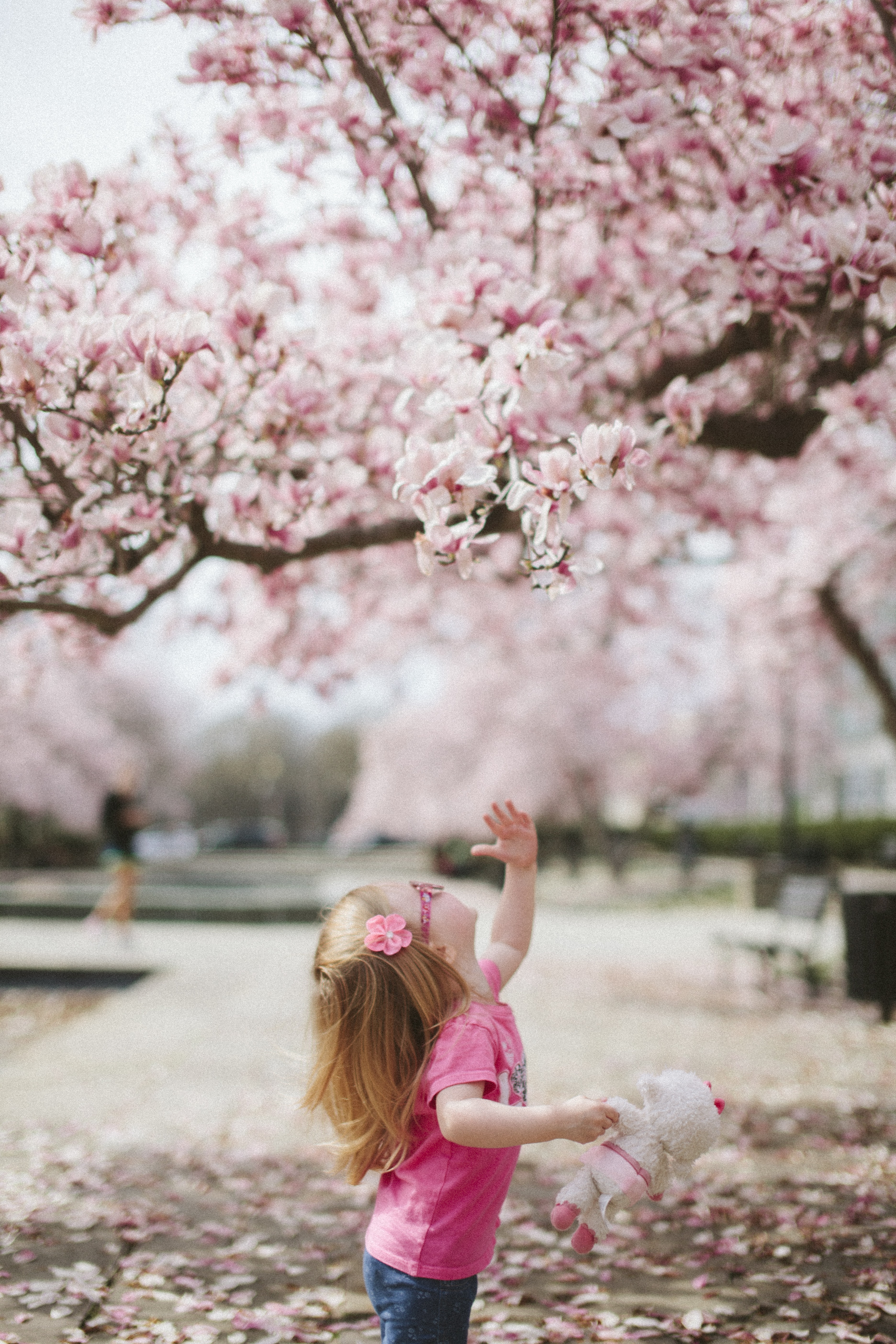 Stylish Doll Wallpaper - Child With Cherry Blossoms , HD Wallpaper & Backgrounds