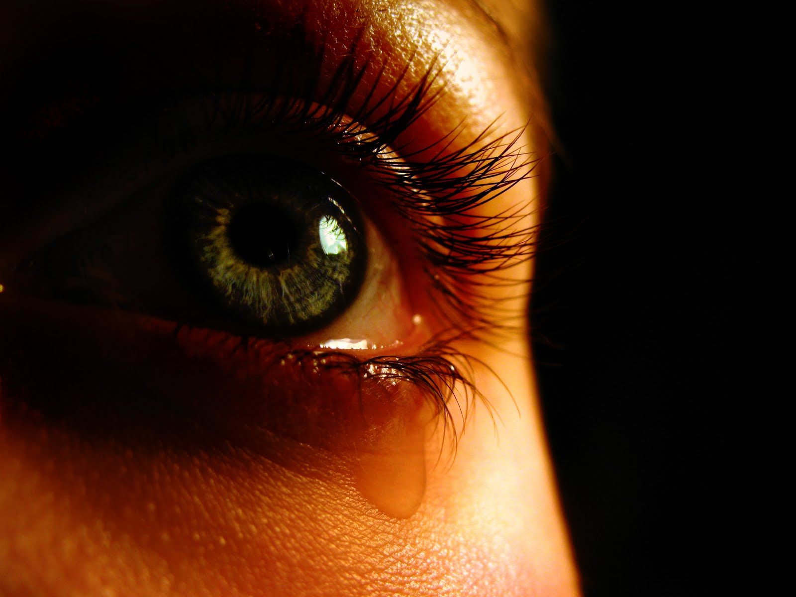 Crying, , HD Wallpaper & Backgrounds