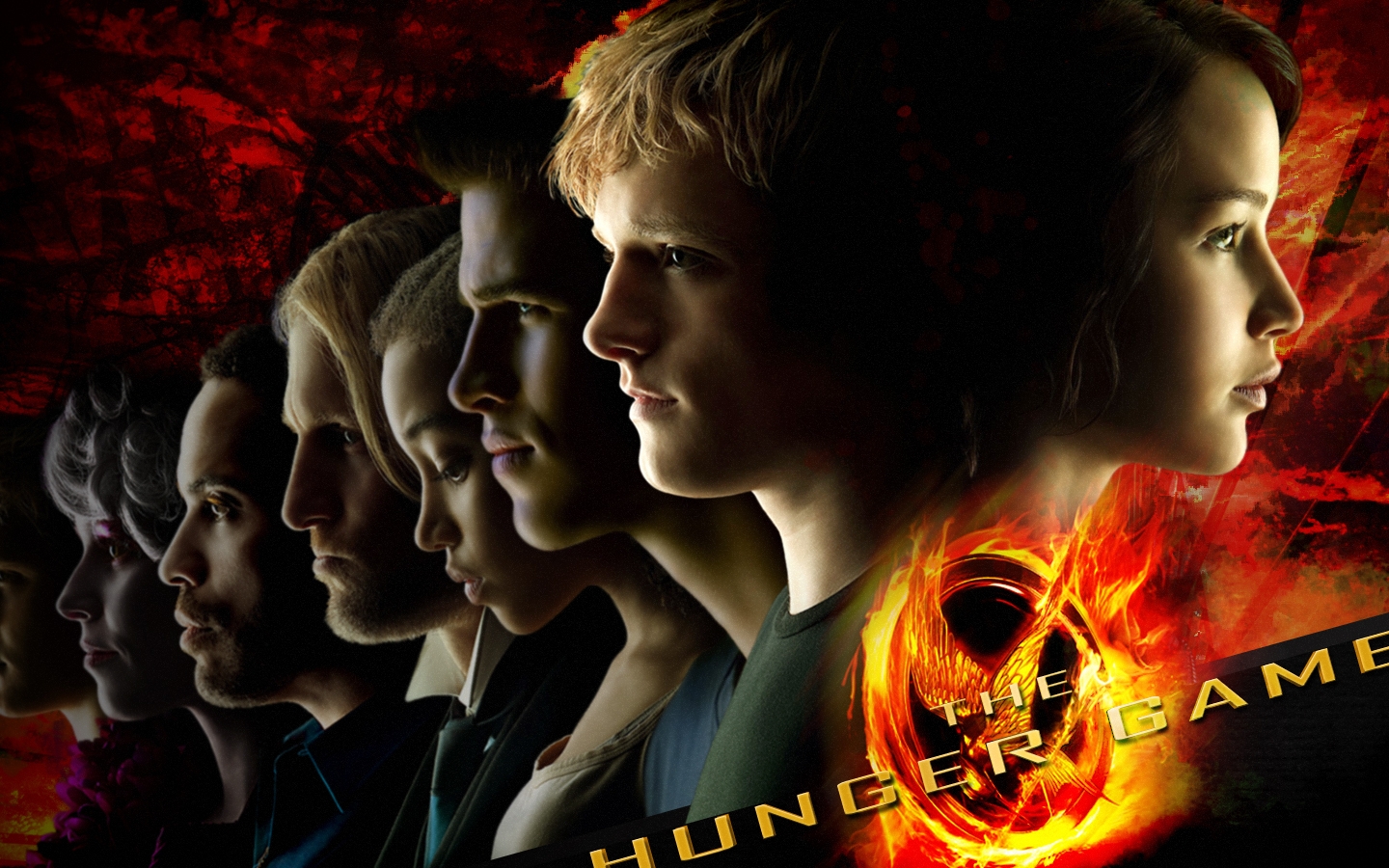 The Hunger Games Images The Hunger Games Wallpaper - Hunger Games Background , HD Wallpaper & Backgrounds