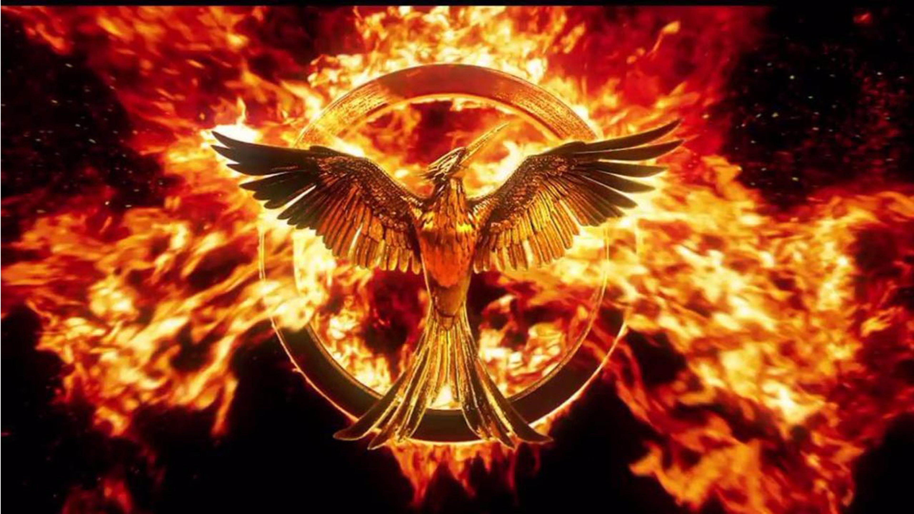 The Hunger Games Mockingjay Part 2 Wallpaper - Mockingjay Hunger Games , HD Wallpaper & Backgrounds