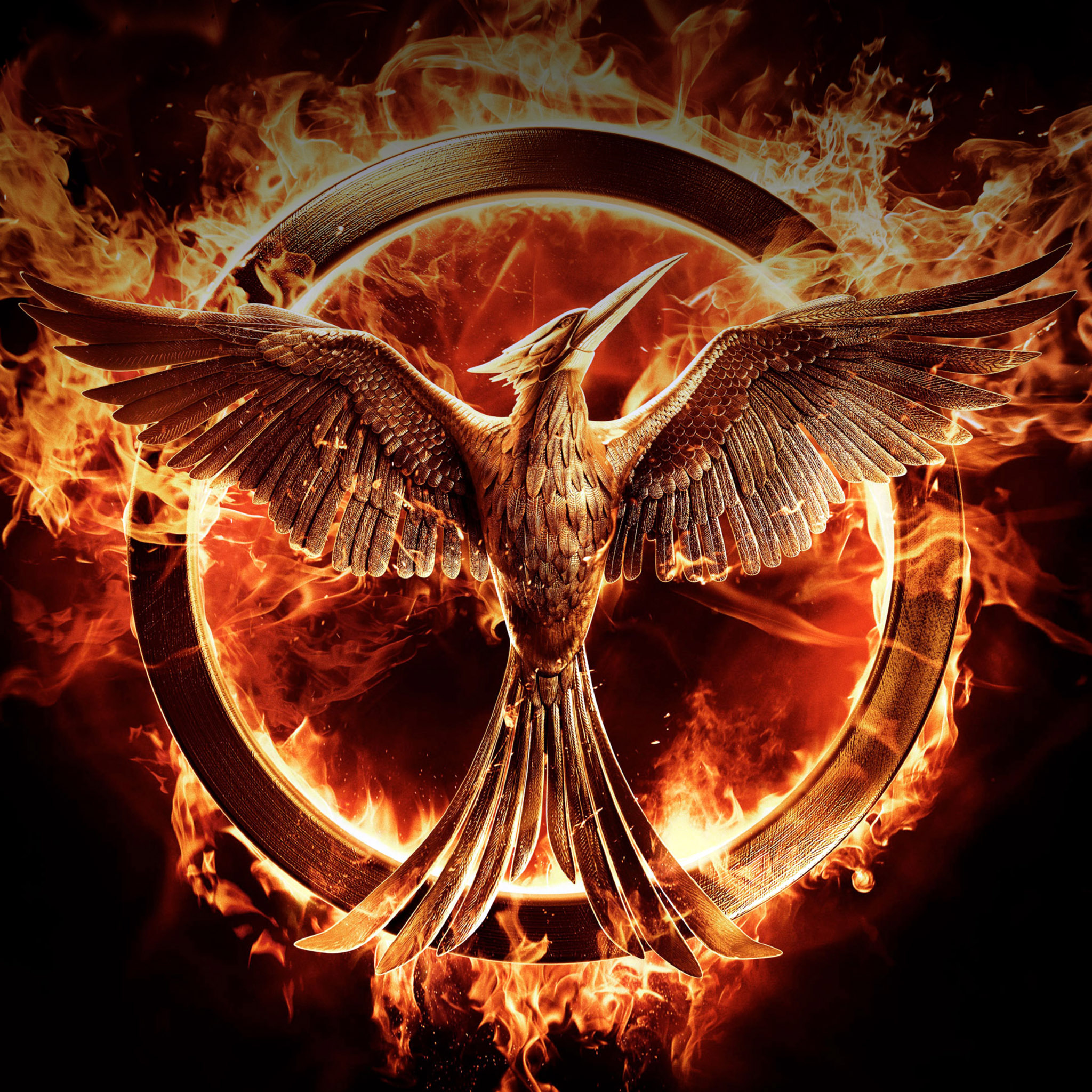 Mockingbird Hunger Games , HD Wallpaper & Backgrounds